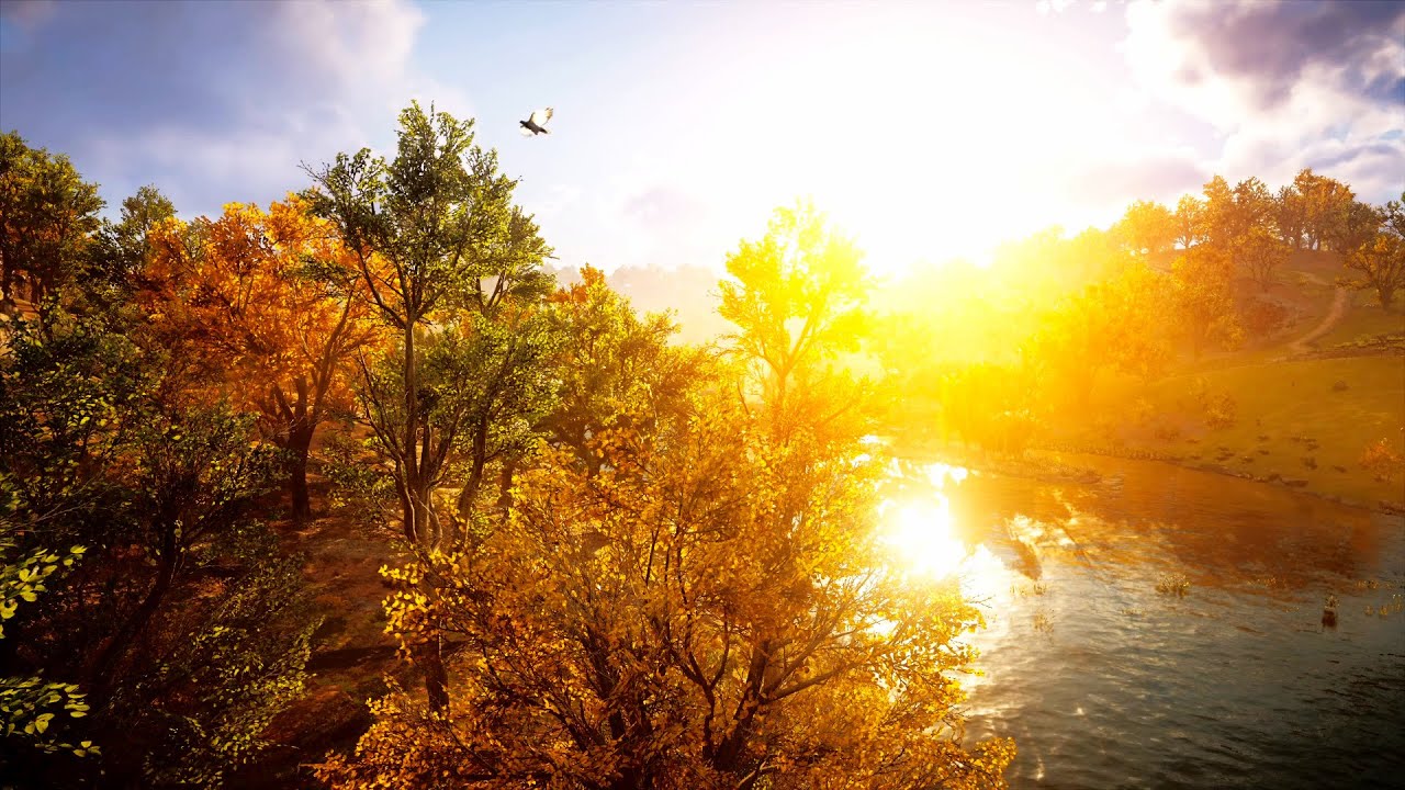 Assassin's Creed - Valhalla || Autumn Ambience | Golden Sun in the Treetops by a River