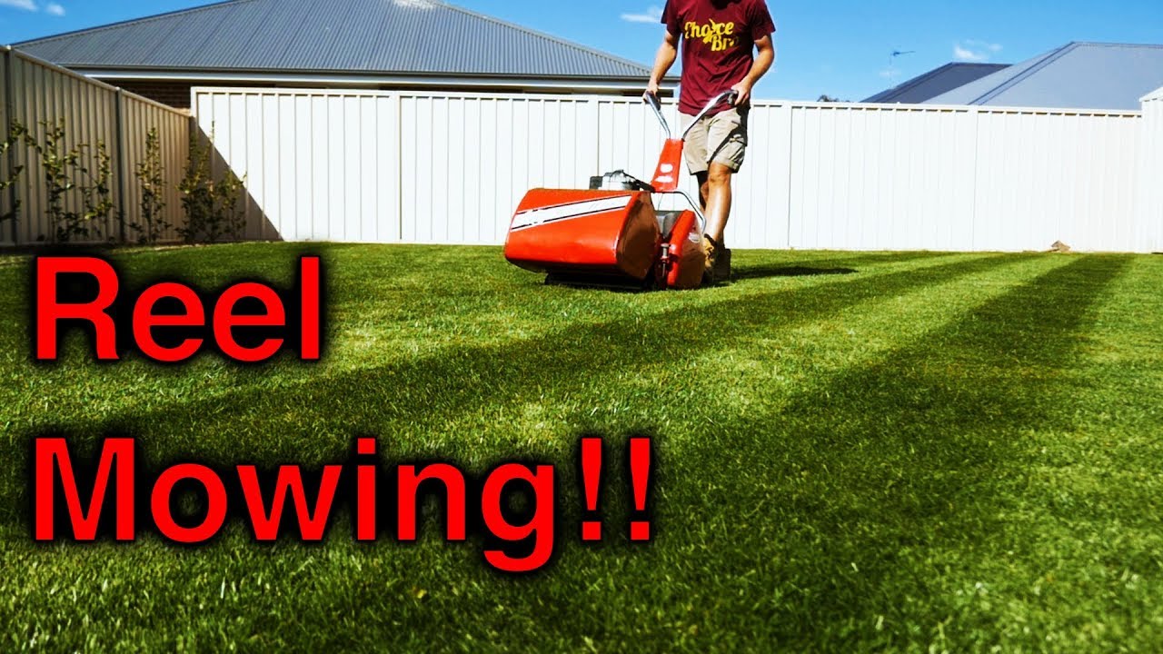 Mowing With My Reel Mower