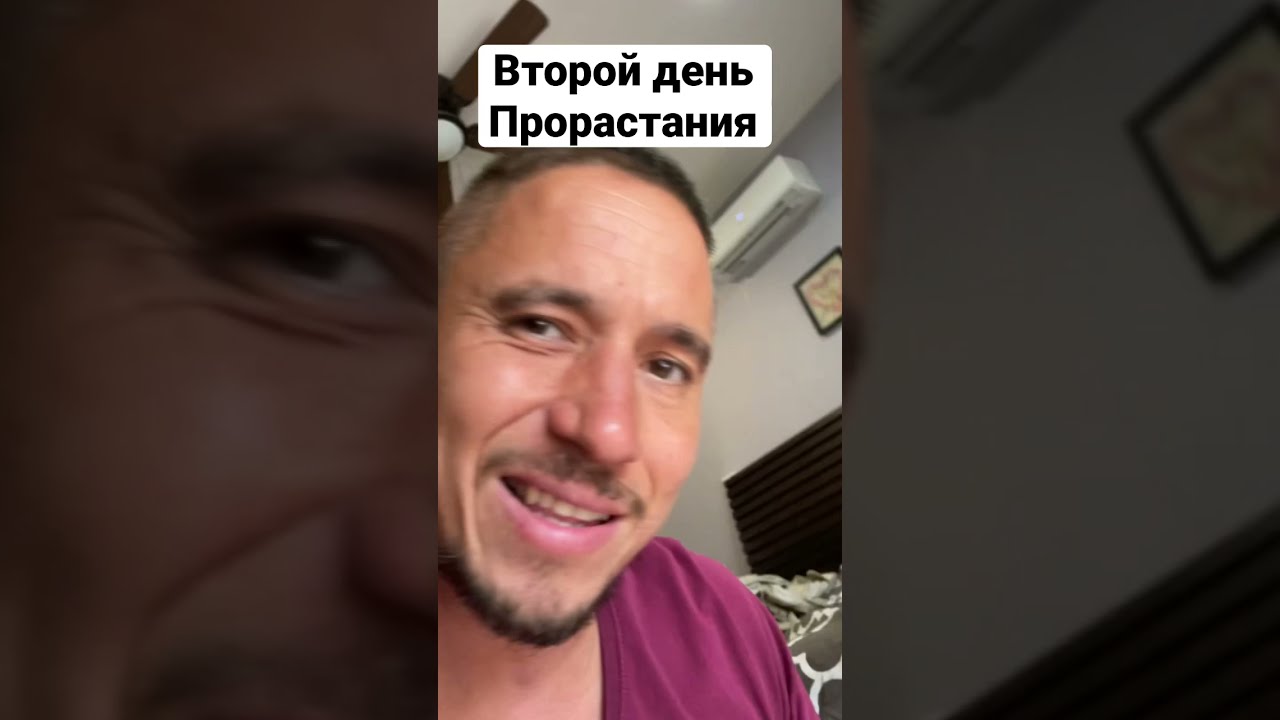 Микрозелень дома Когда на свет ?   Зелёный  шеф #shorts