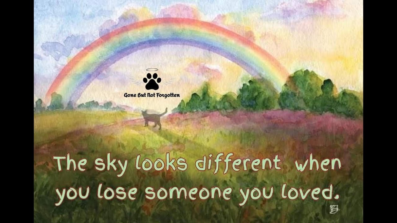 In The Arms of an Angel - Pets & The Rainbow Bridge