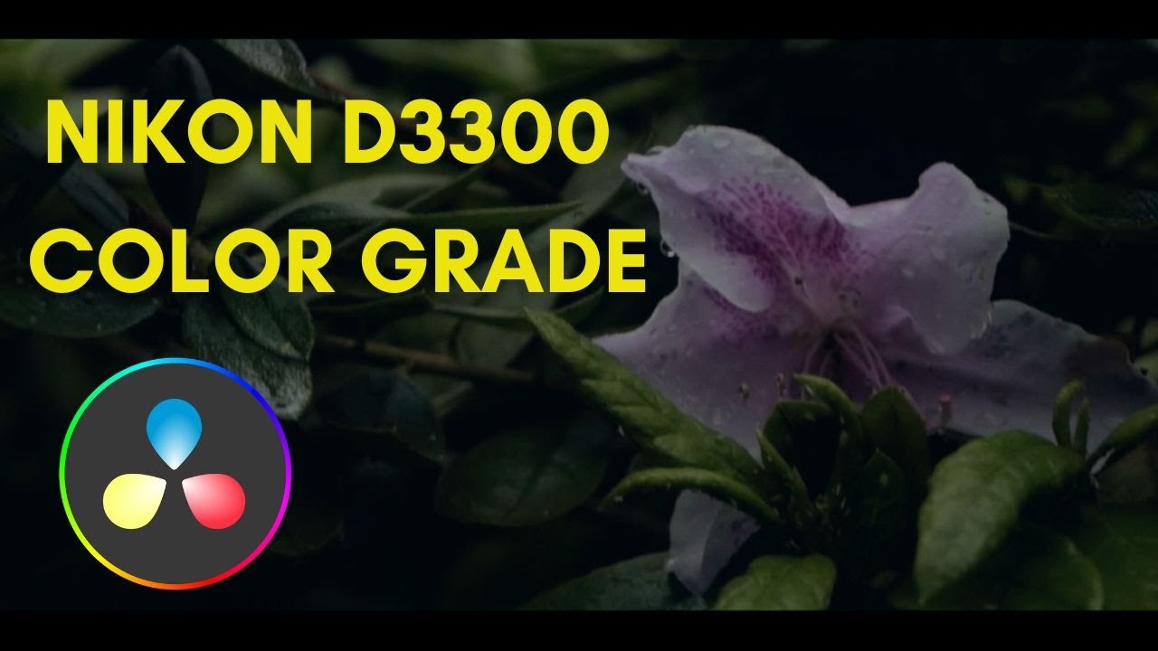 Nikon D3300 Film Look for Free!