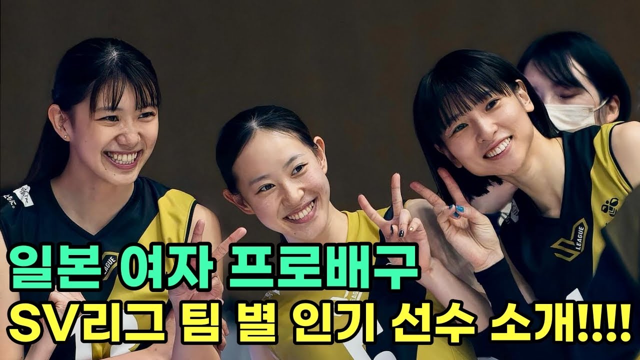 일본 여자프로배구 SV리그, 팀별 대표 인기&미녀 선수 14인 소개[25–26 시즌]