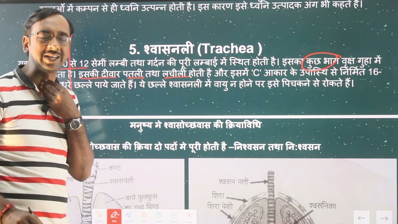 Respiration Mechanism(श्वसन क्रिया) :Life Processes (Class 10 Science Biology)
