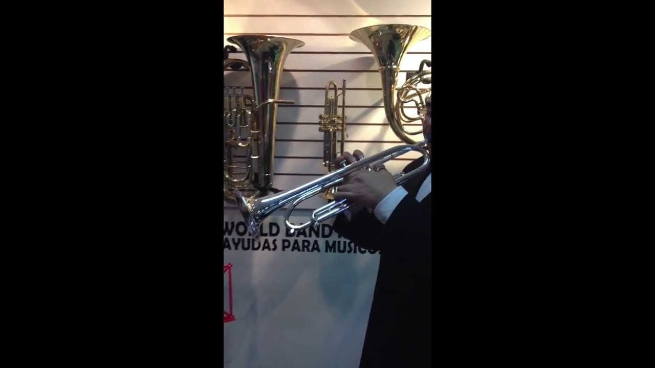 FIDES SYMPHONY BBG LT