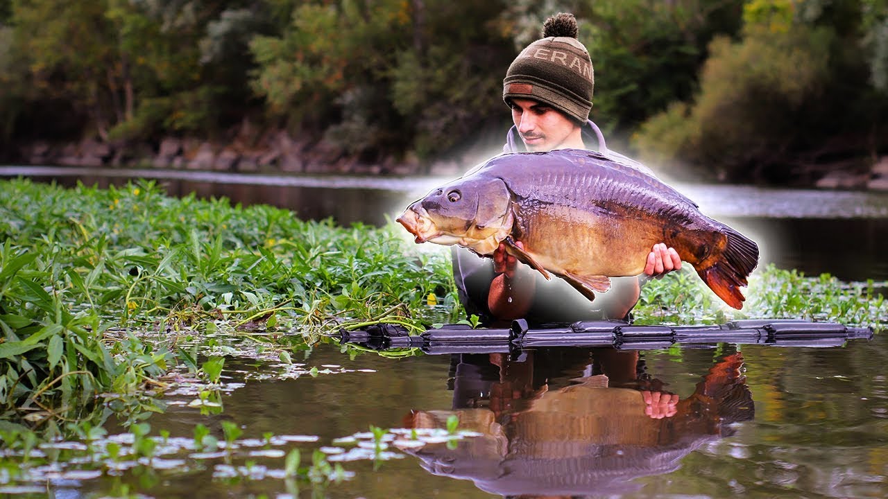 24h pour pêcher des CARPES de nuit en RIVIÈRE SAUVAGE !