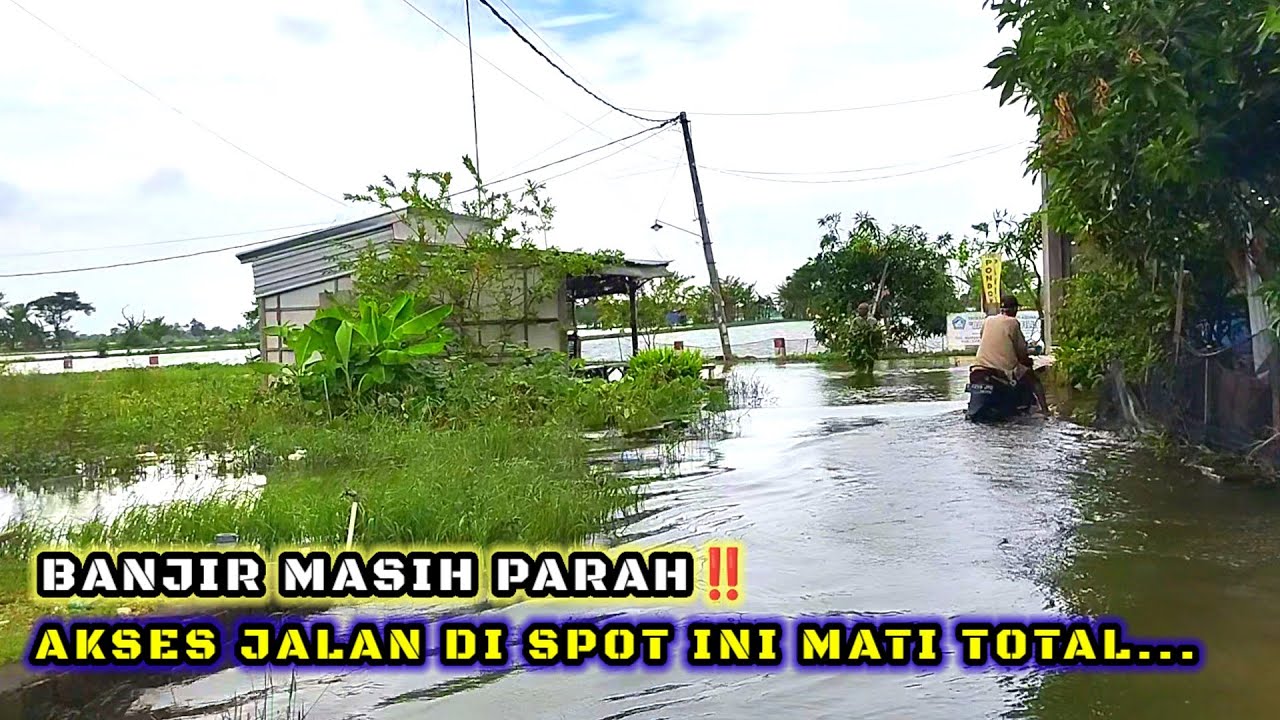 BANJIR PARAH‼️WARGA CUMA BISA PASRAH SAAT IKAN TAMBAK KABUR SEMUA #fishing #mancing