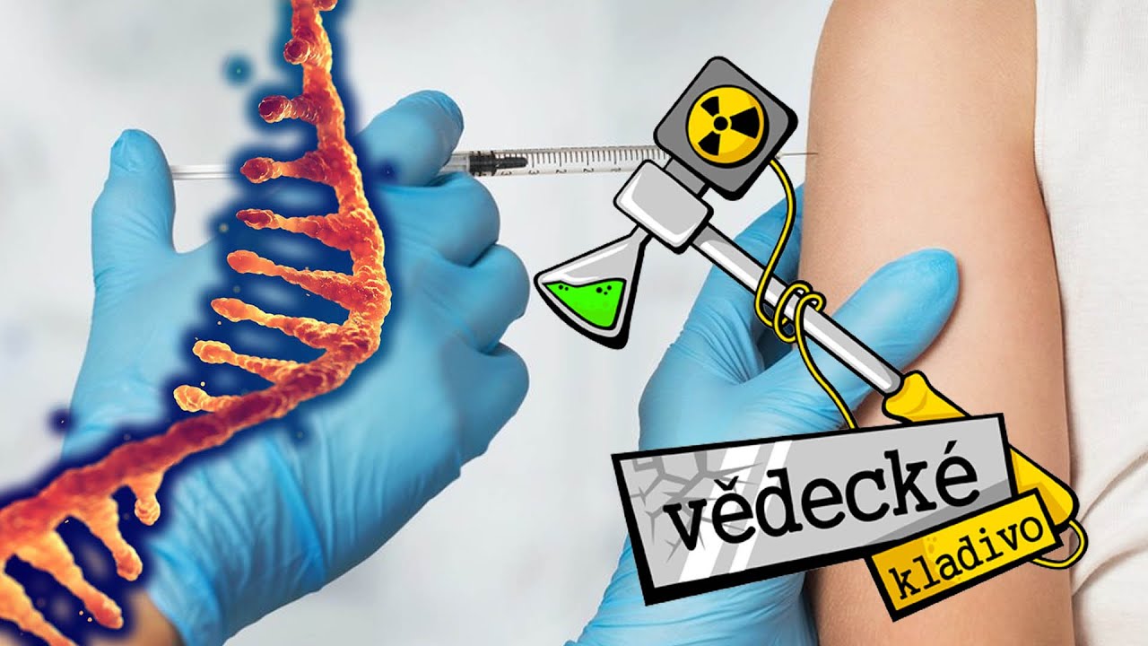 Jak funguje mRNA Covid-19 vakcína? - Vědecké kladivo
