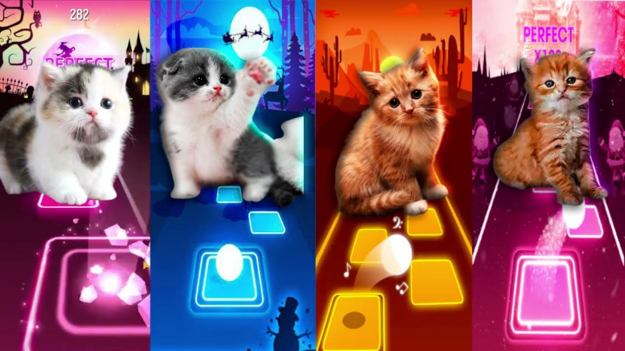CUTE CATS - SHAKIRA WAKA WAKA - LADY GAGA BLOODY MARY - DANCIN - BLACKPINK TILES HOP EDM RUSH