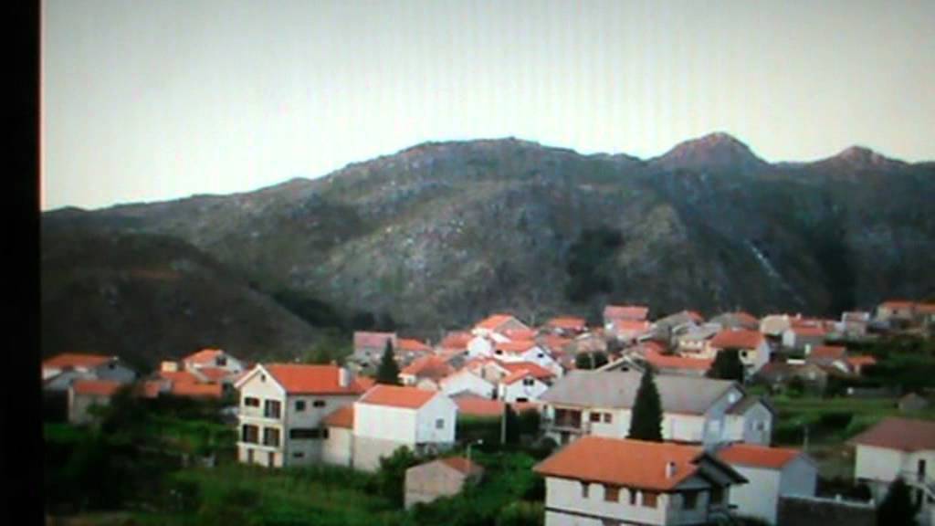 DESAFIO ZE CARVALHAL e ALICE GONZALVES (DESAFIO DO AMOR) 1983