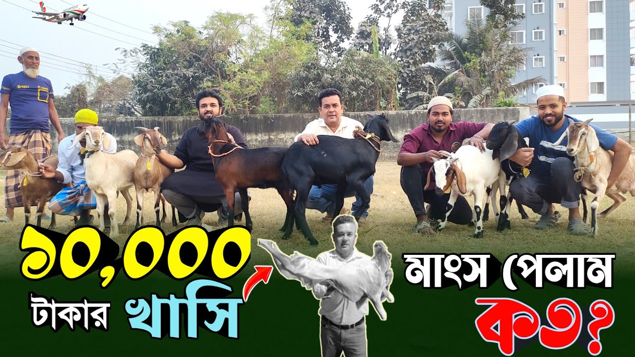 রমজান মাস জুড়ে খাসির মাংস খাব! ১০ হাজার টাকায় কিনলাম! মাংস কত পেলাম? Mutton price in BD