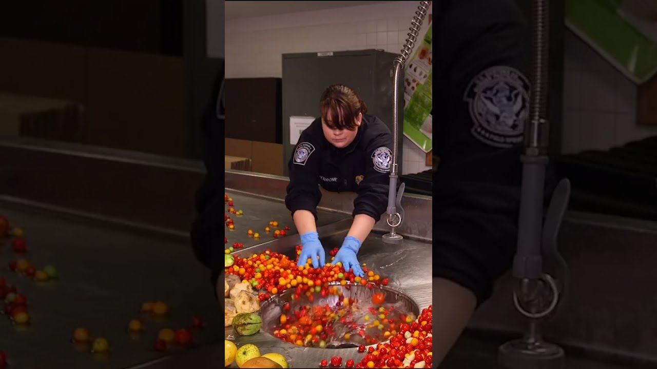 Where Illegal Food Goes At JFK Airport