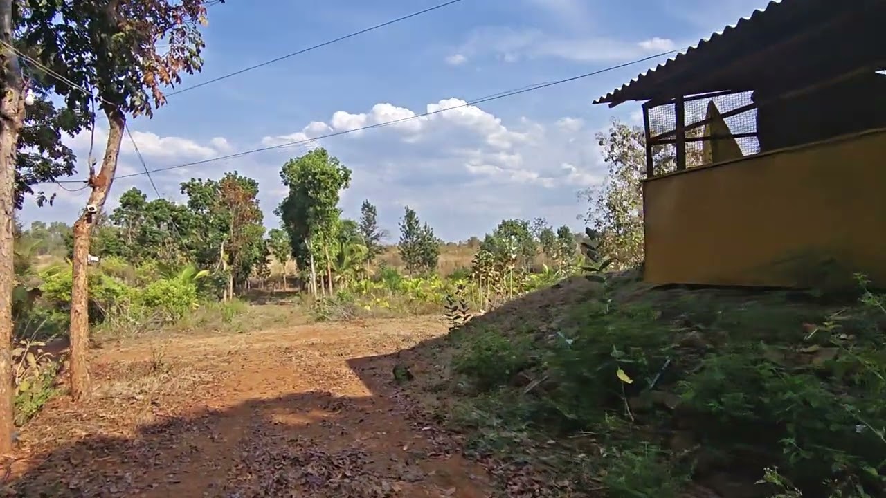 7 ACRE LAND FOR SALE NEAR HALAGUR CONTACT... 9686085495