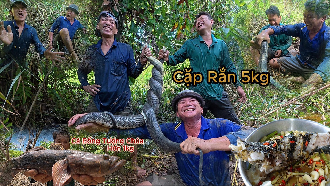 Khu N&agrave;y C&oacute; Mồi Hiếm - Cặp Rắn Ẩn nấp Trong Hang S&acirc;u | Gấc Qu&ecirc;