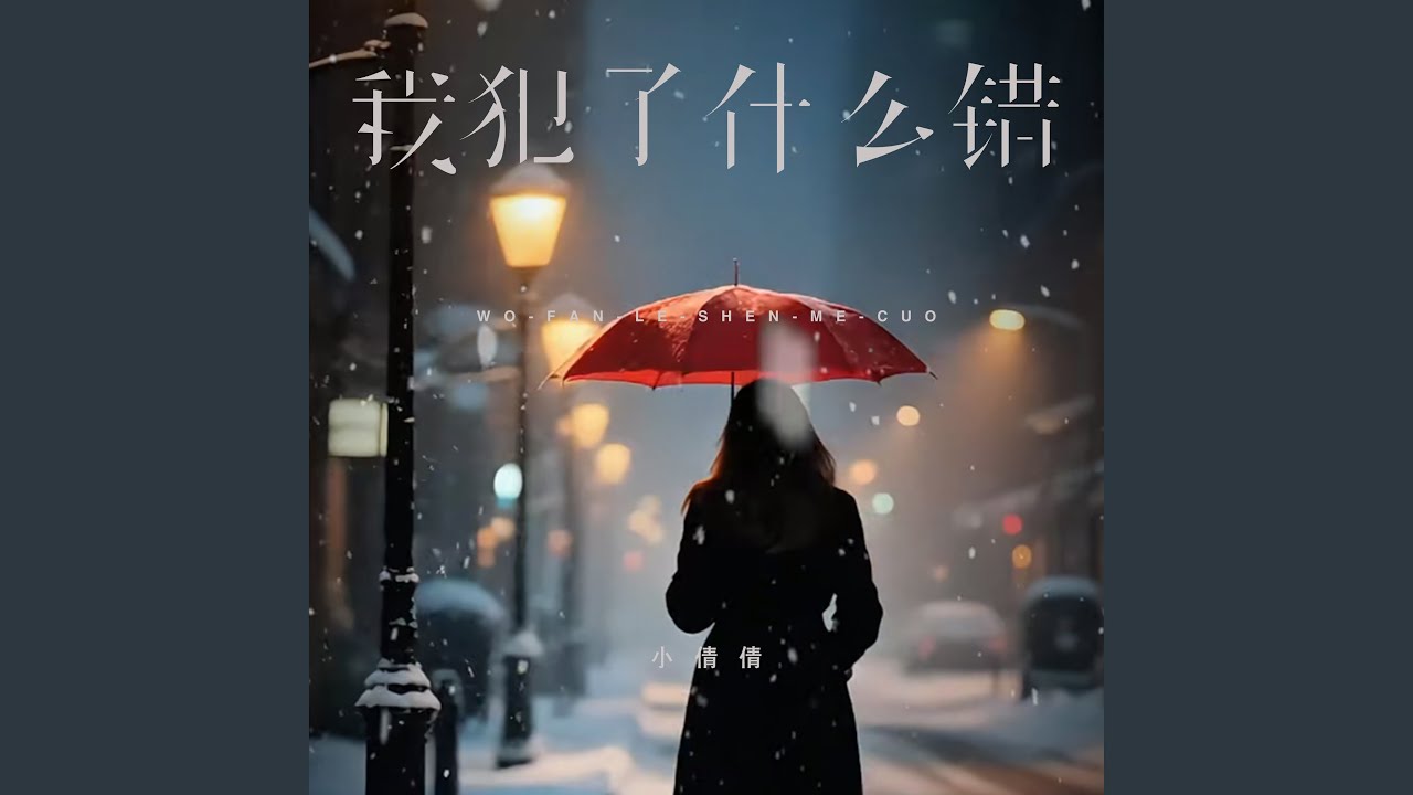 我犯了什么错 (伴奏)
