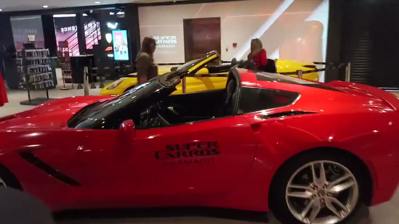 Conhecendo os carros  Vd 2