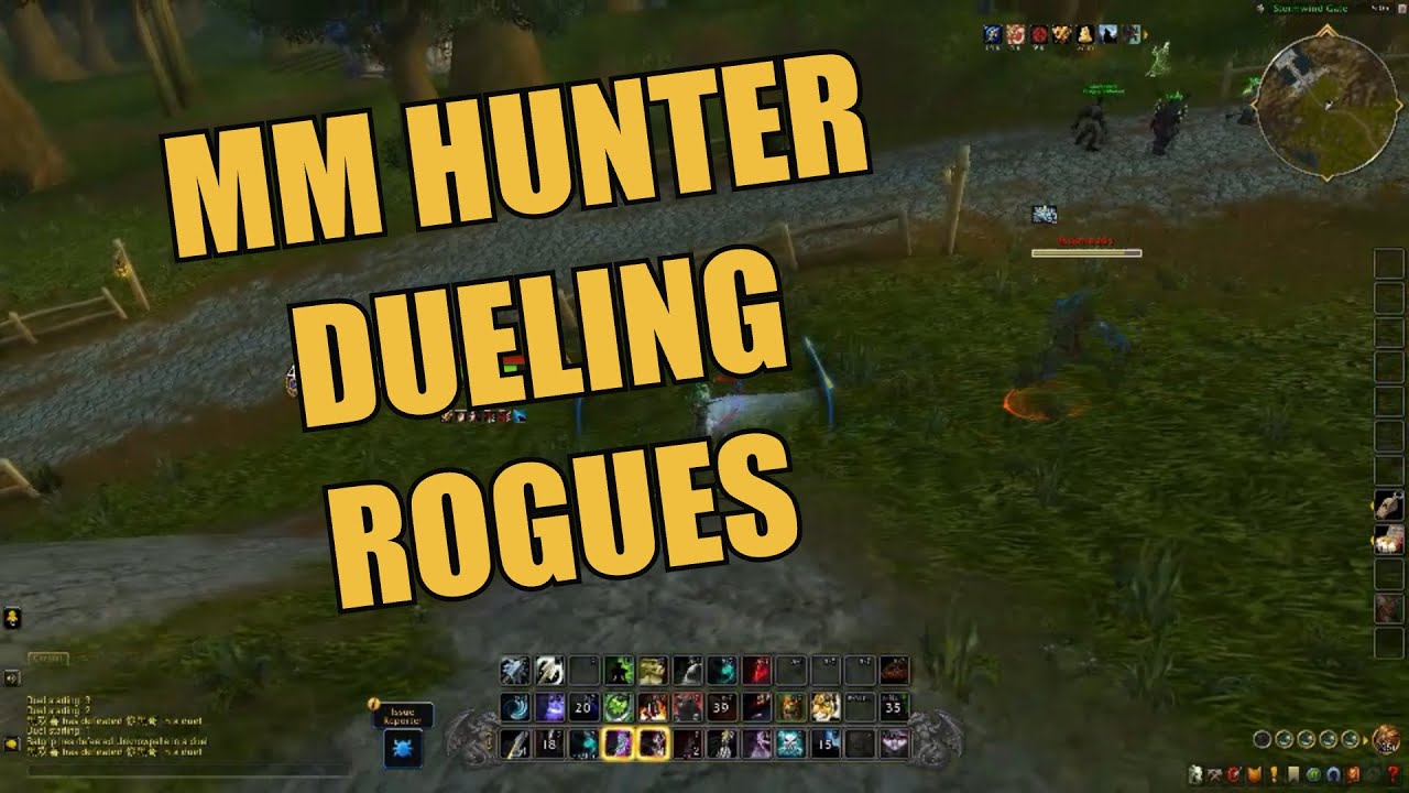 War Within Beta | Sentinel MM Hunter VS Rogue Duels