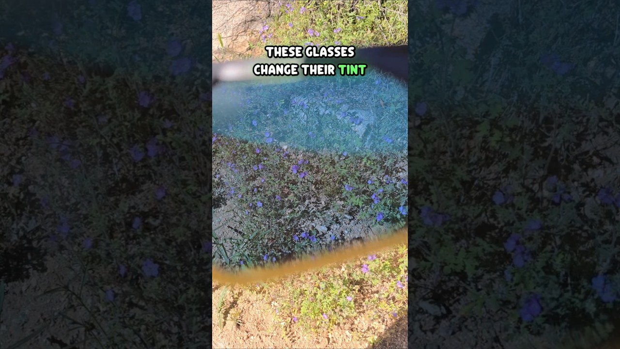 3 okulary w 1: elektrochromowe okulary POVEC o wysokiej wydajności