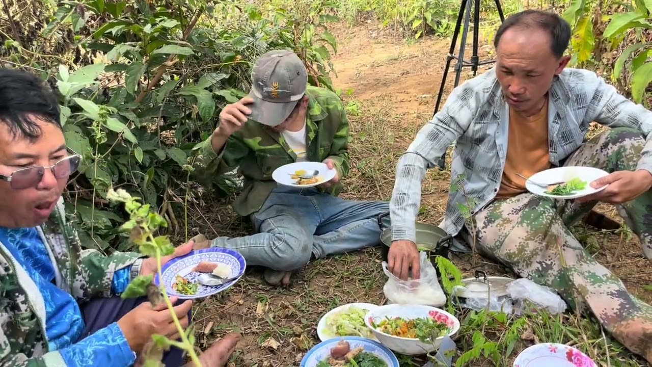 Mus txiav taws rau yeej thiab chom nkawv/22/1/2026