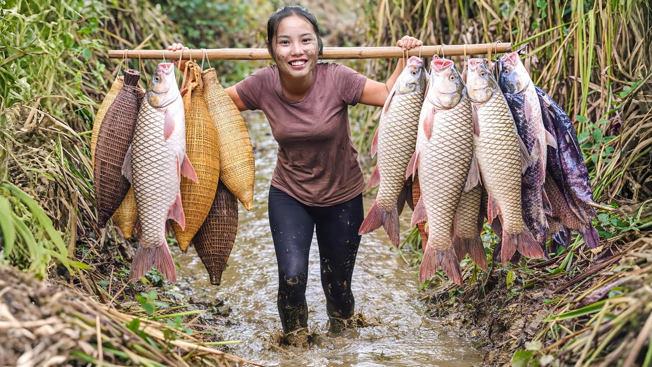 Amazing fish catching skills: Hand-catching 1500kg+ giant carp & tilapia in stream for market sale