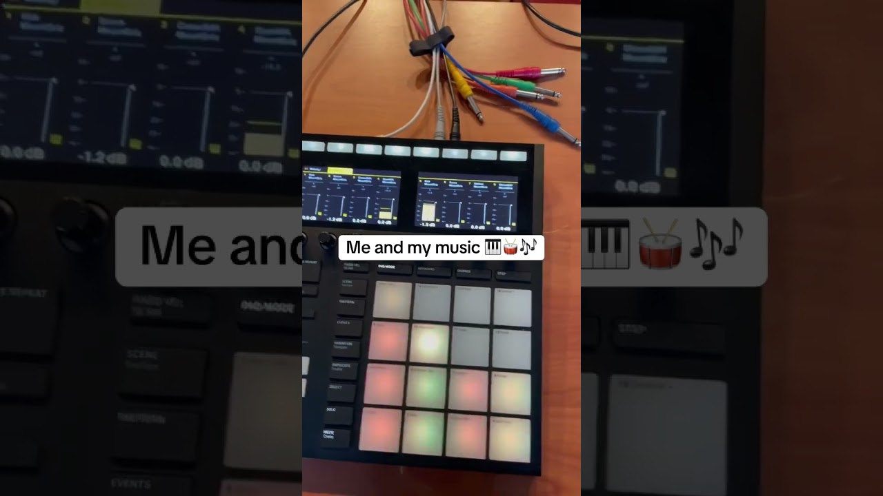 Maschine MK3 🎶 #maschine #nativeinstruments