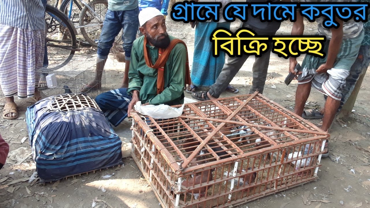 গ্রামের কবুতর বাজার। Kobutor bazar.