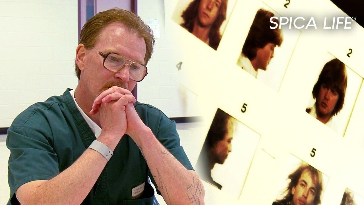 США: кошмар Майкла Теннесона