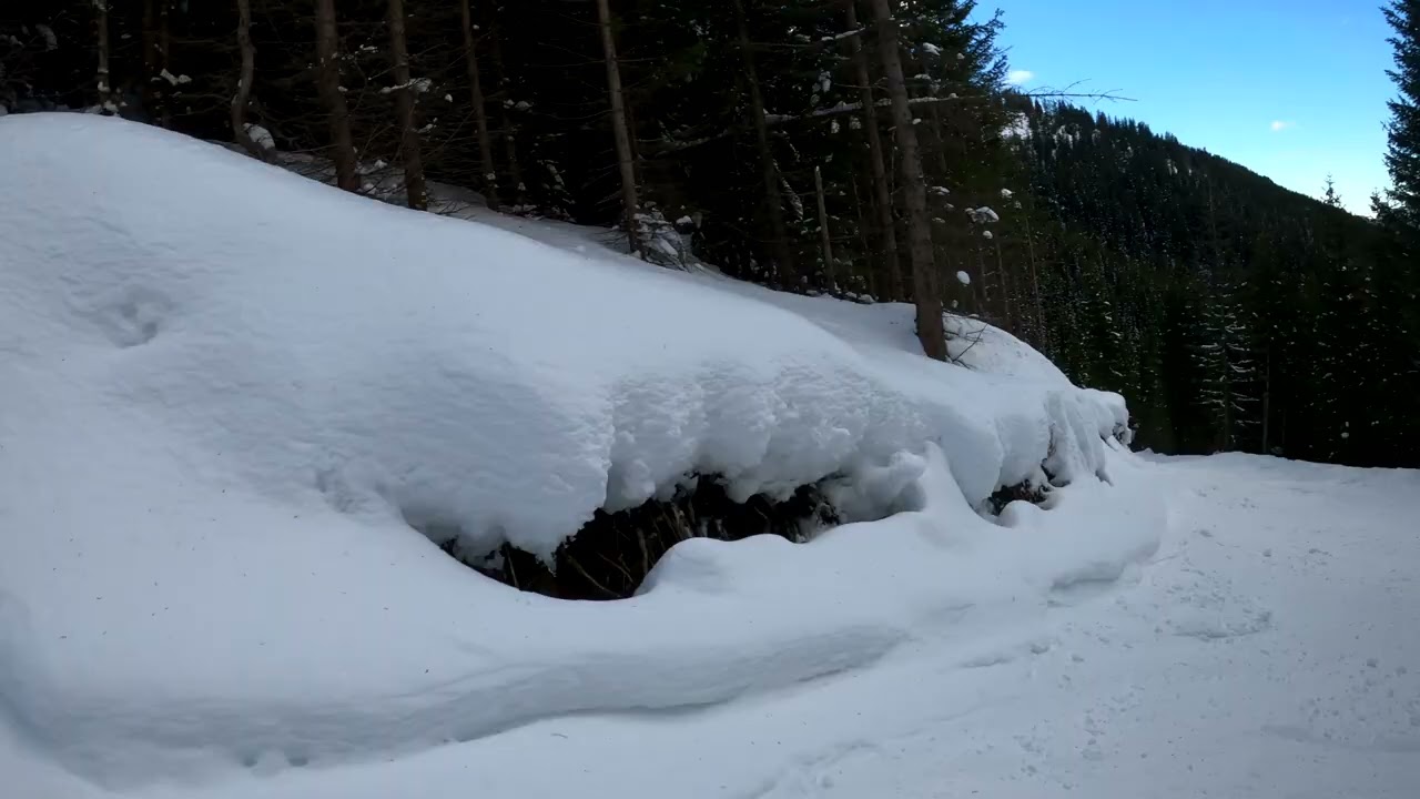 Skiing in Bodrost - Kartala - Ski Way Kolarski - 30 Dec 2024