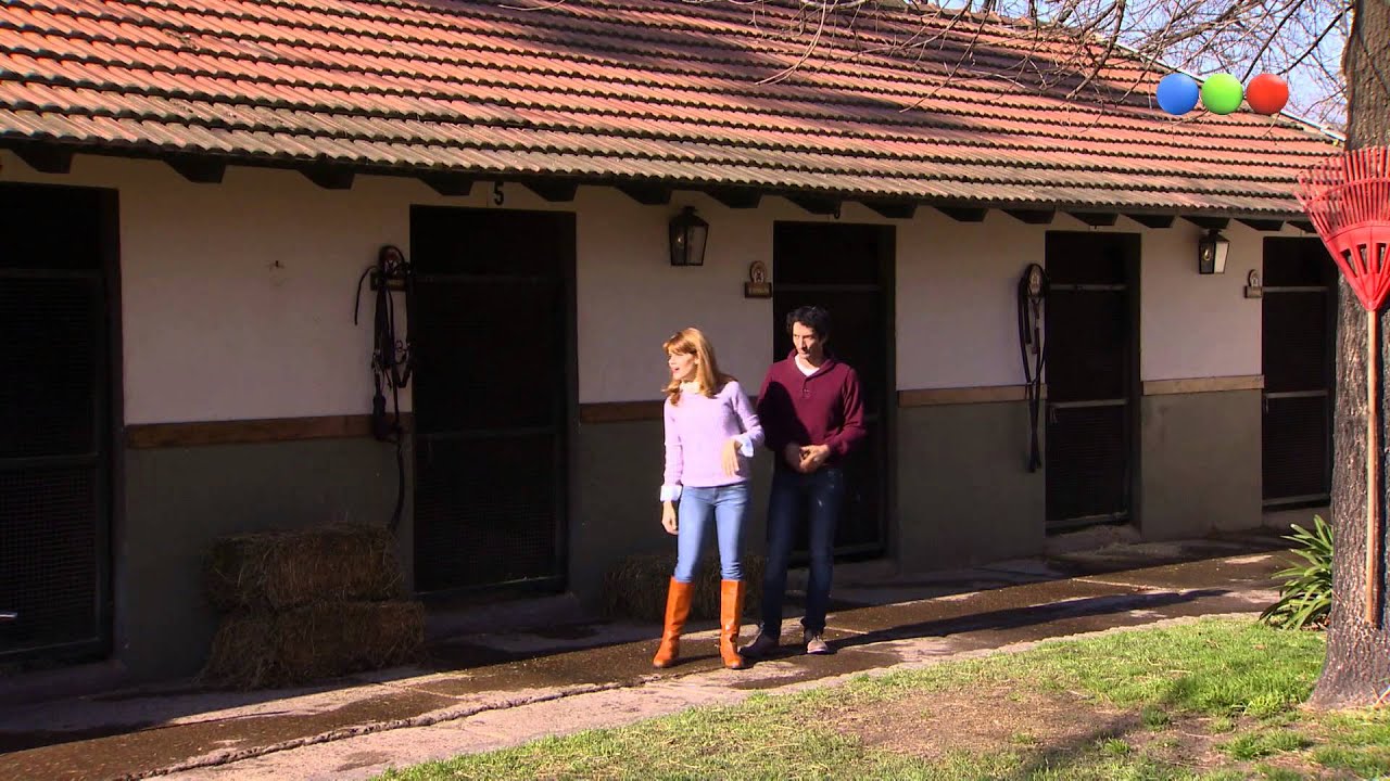 Cap&iacute;tulo 12 - Viudas e Hijos del Rock & Roll