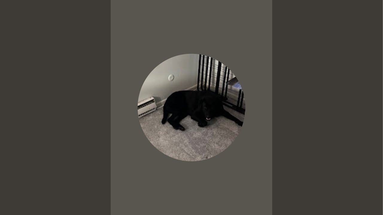 Steal a brainrot with viewers