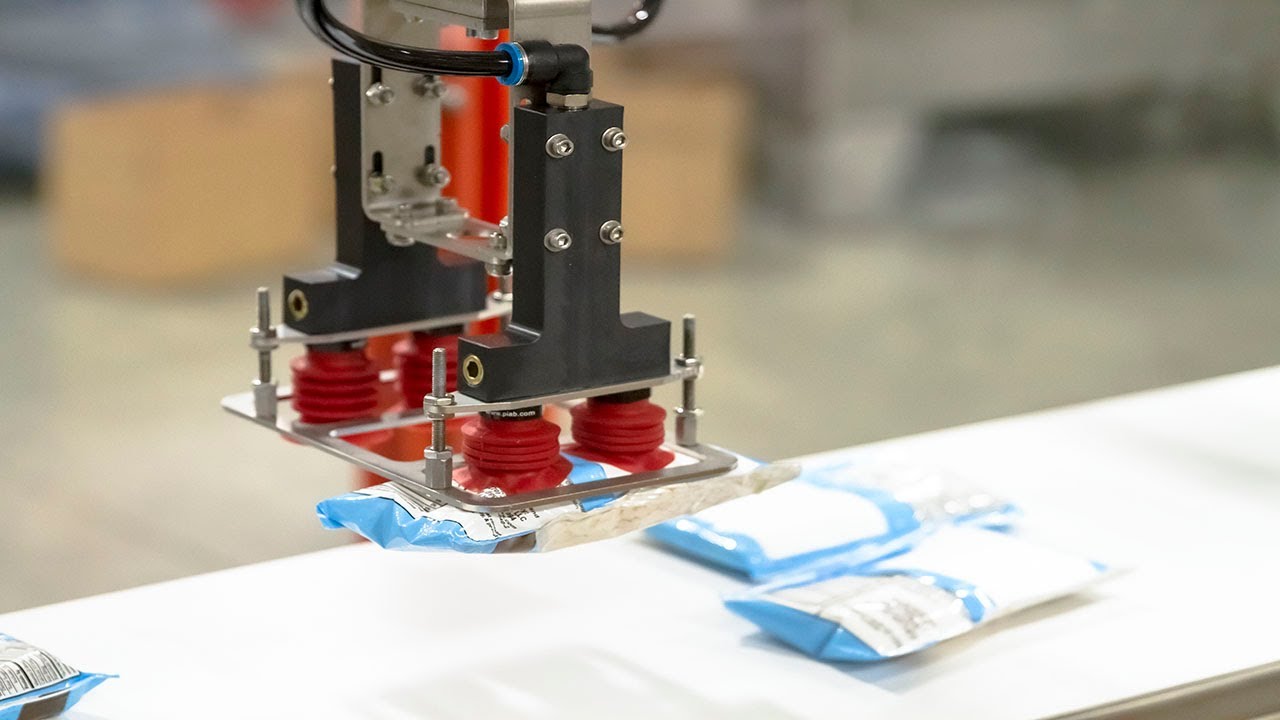 Delta Case Packer - Flash Frozen Ice Cream Pouches