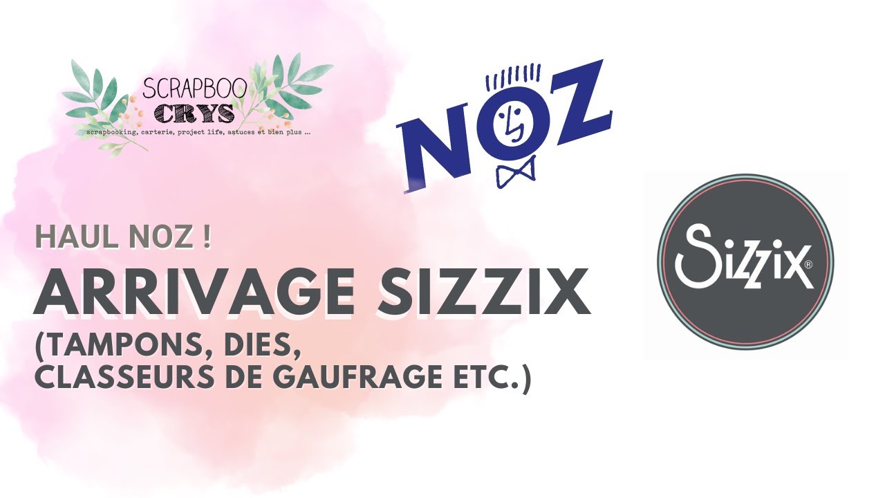 HAUL NOZ !! ARRIVAGE SIZZIX INCROYABLE 💕 !! Dies, Classeurs de Gaufrage, Tampons)