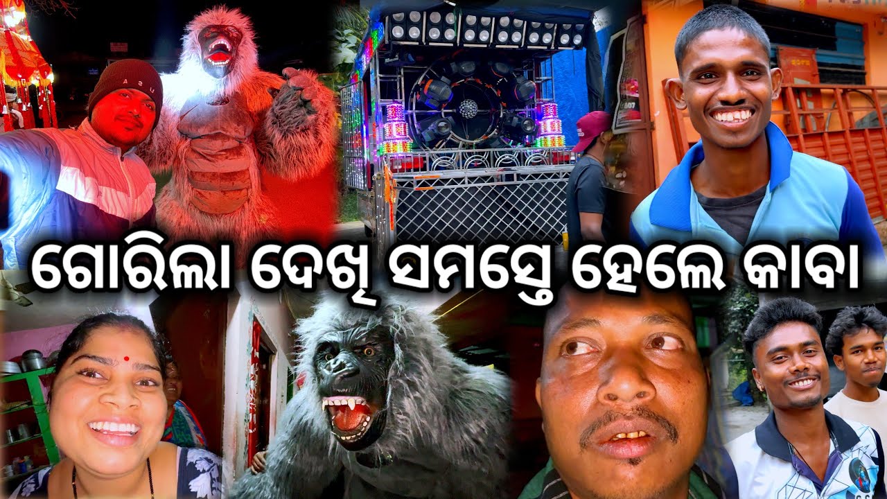ଗୋରିଲା ଦେଖି ସମସ୍ତେ ହେଲେ କାବା 😱