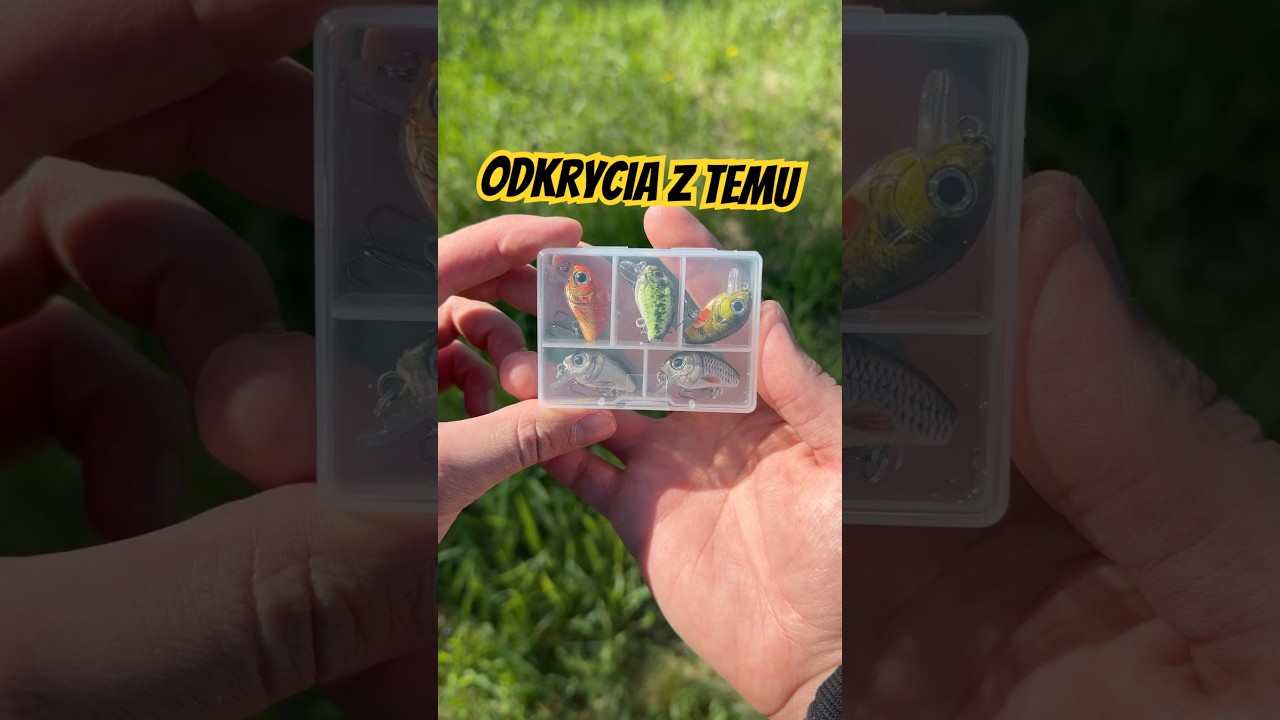 Sprzęt wędkarski za 0 złna TEMU! Wpisz kod【dwh3267】w wyszukiwarce aplikacji.🔗 Link znajdziesz w BIO