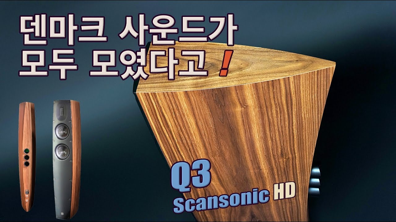 리본과 카본으로 완성한 최고 가성비! 스캔소닉 Q3