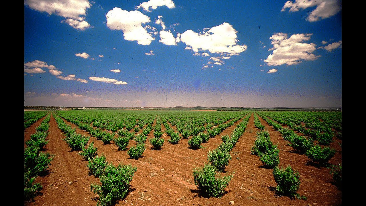 Paisajes de Castilla y León