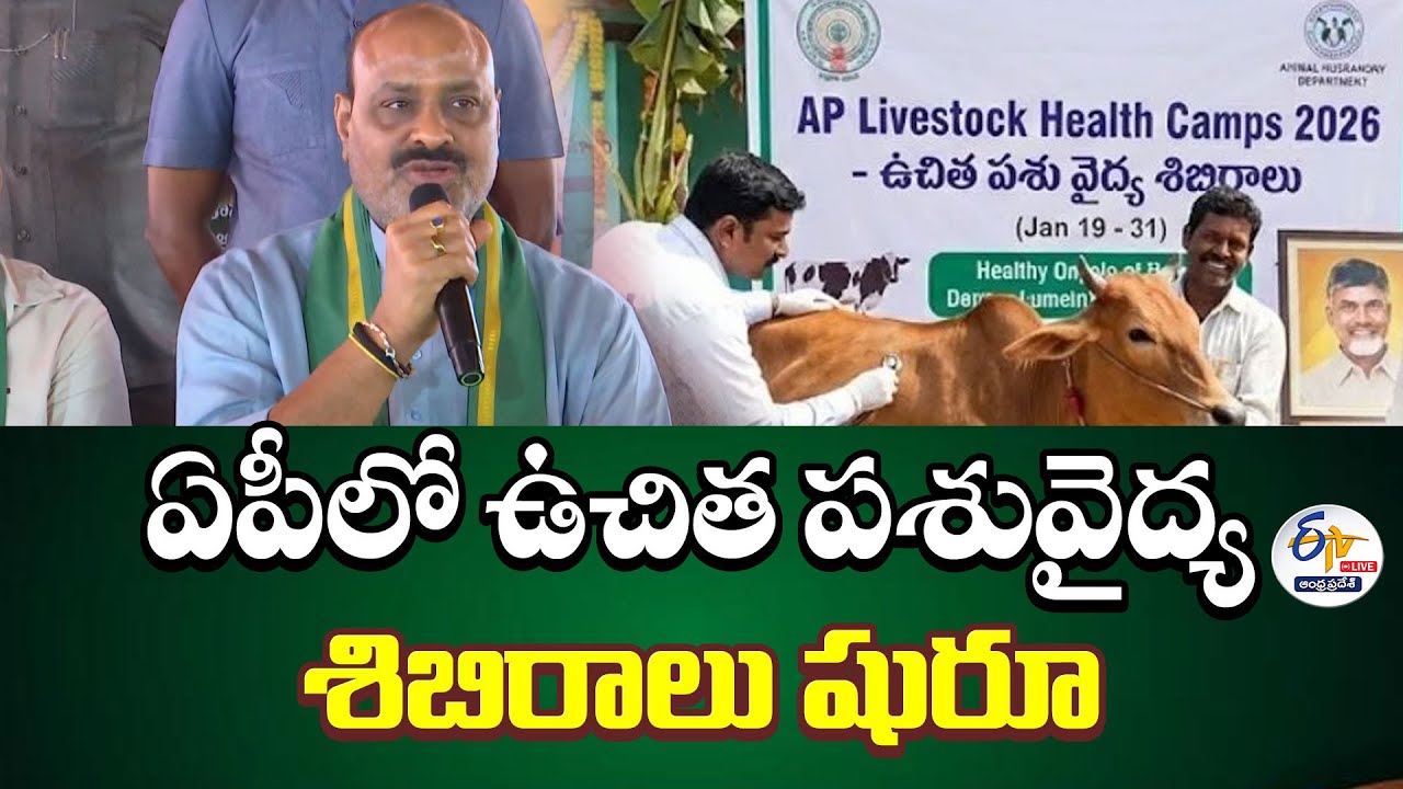 రాష్ట్రవ్యాప్తంగా ఉచిత పశు ఆరోగ్య శిబిరాలు | Free Animal Health Camps Across State :🔴LIVE