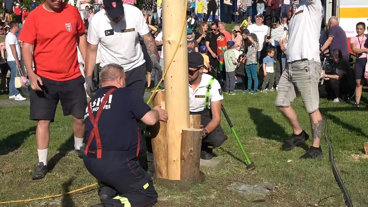Tradičné stavanie mája v Devínskej Novej Vsi