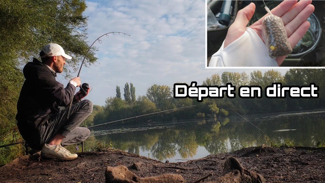 La pêche au plastique ! (Pêche à la carpe)