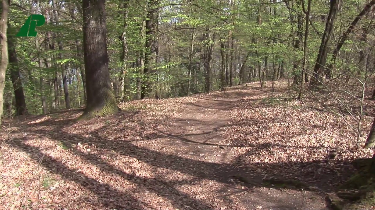 Nadleśnictwo Lubsko - Ośrodek Edukacji Przyrodniczo-Leśnej w Jeziorach Wysokich