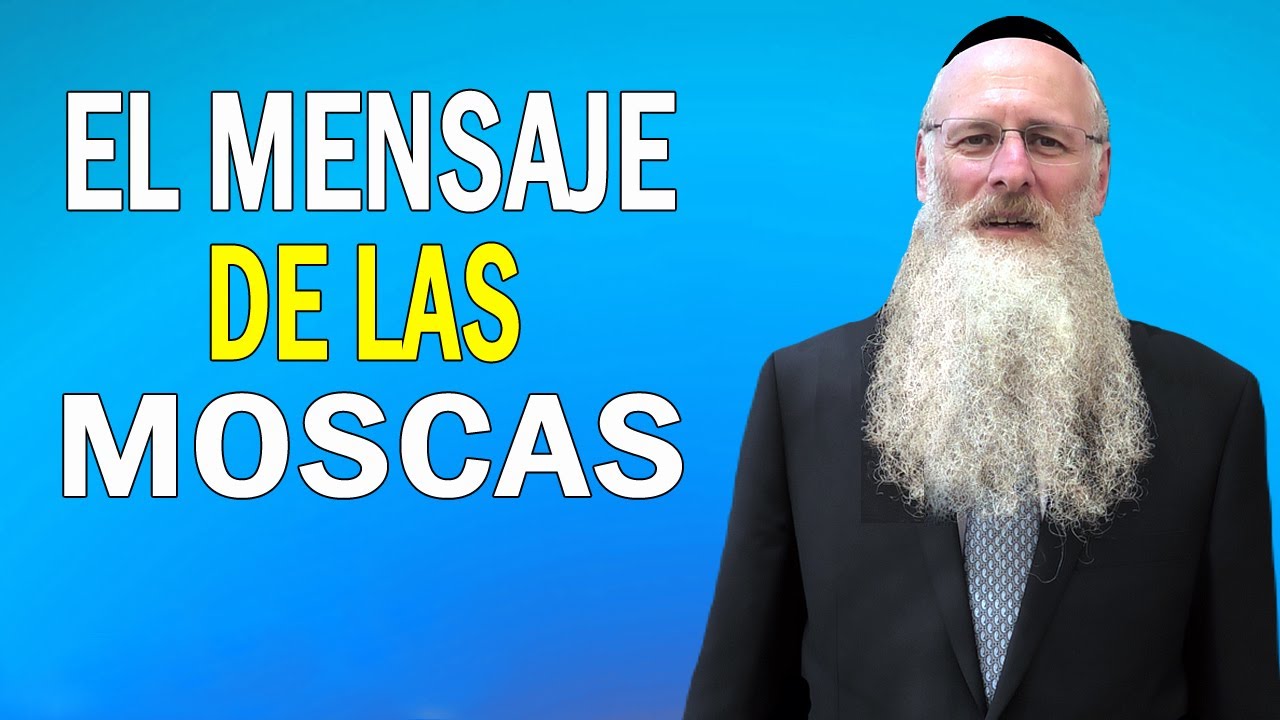 El Mensaje de las Moscas