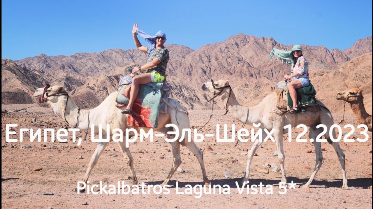 Египет, Шарм-Эль-Шейх 12.2023 Pickalbatros Laguna Vista 5*