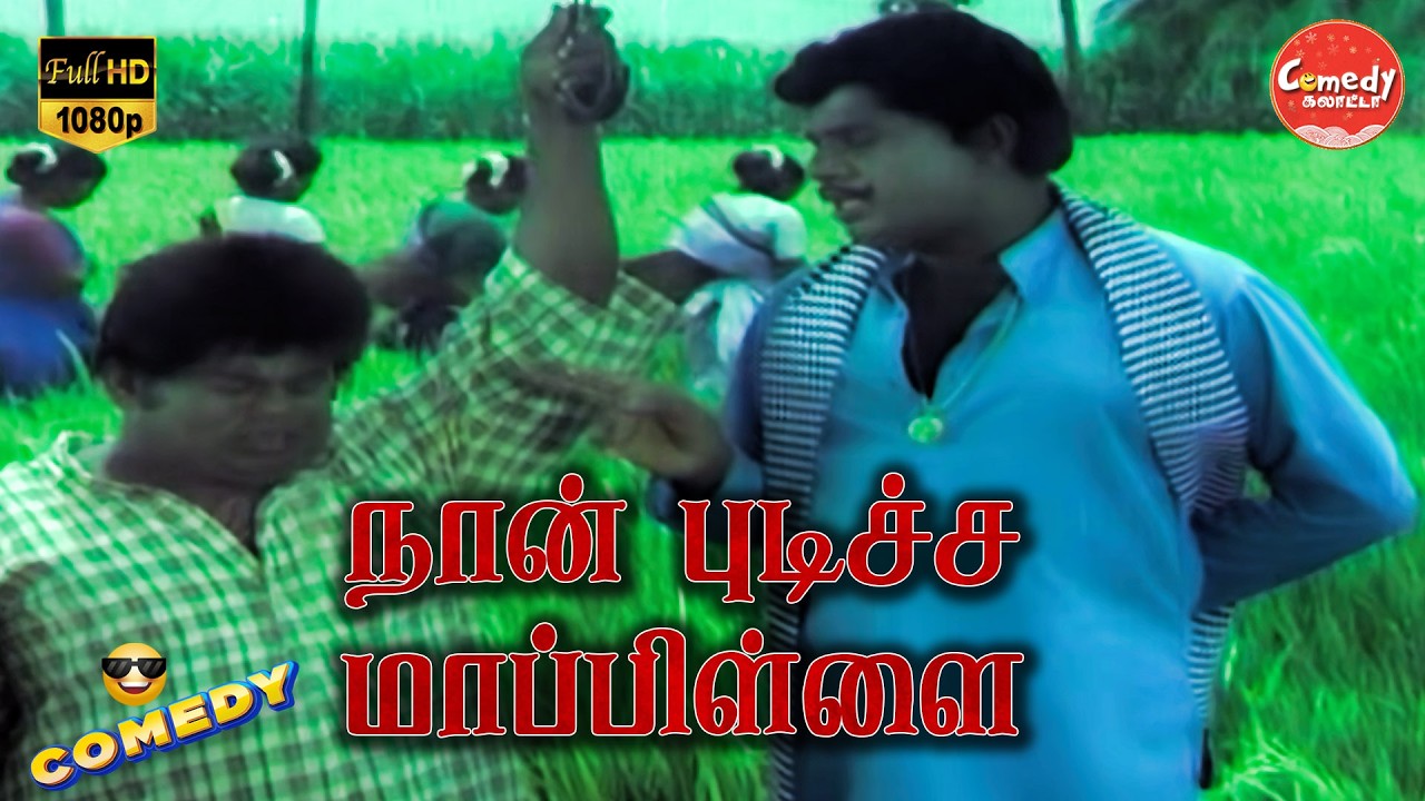 Naan Pudicha Mappillai Movie Full Comedy | Nizhalgal Ravi | Goundamani | Senthil | Comedy Galatta