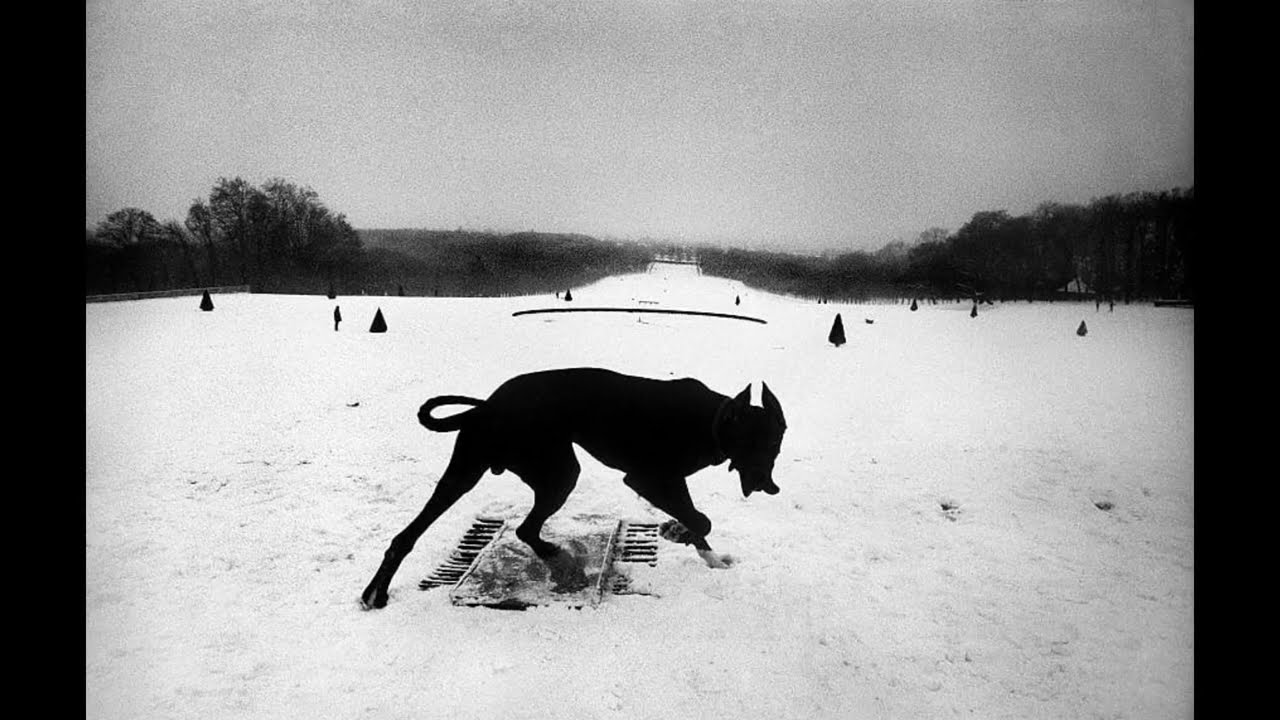Il Contrasto nella Fotografia Bianco & Nero | Taccuino Fotografico
