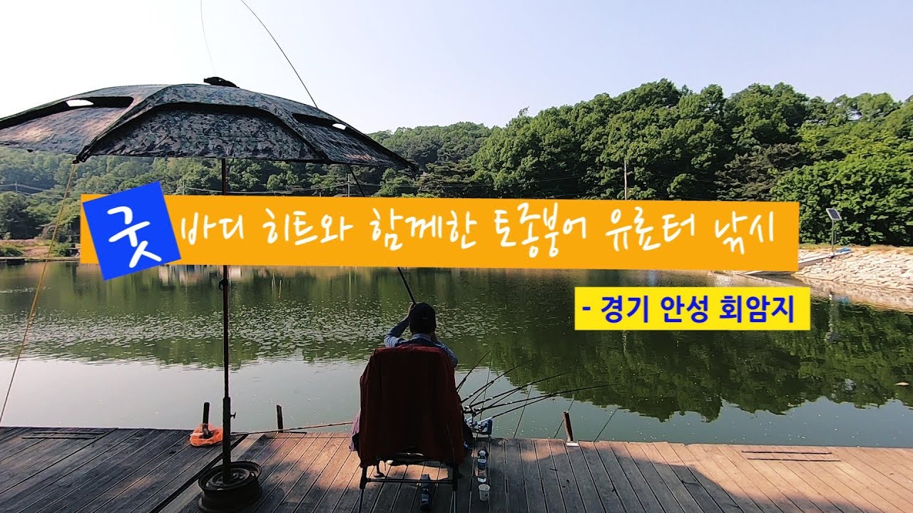 [양어장] 38.굿바디 히트와 함께한 토종붕어 유료터 낚시 - 경기 안성 회암지(2019.5.24)