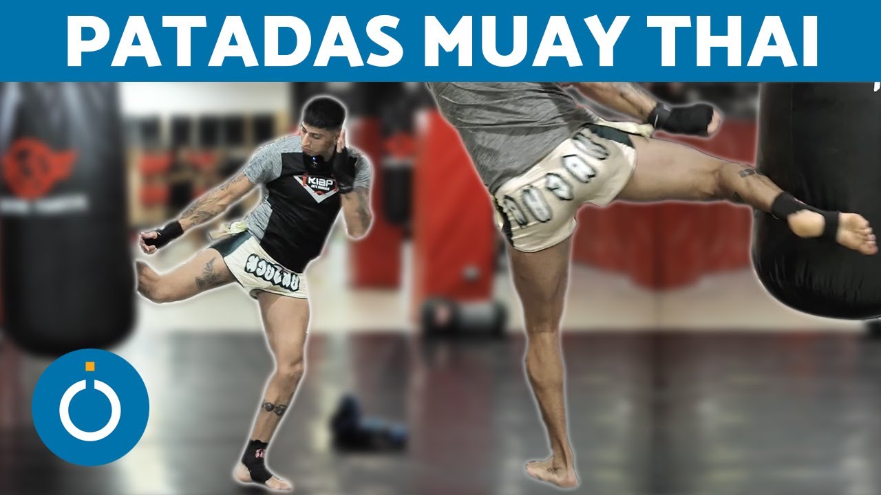 PATADAS Básicas en MUAY THAI 🦿 Patadas Muay Thai Entrenamiento
