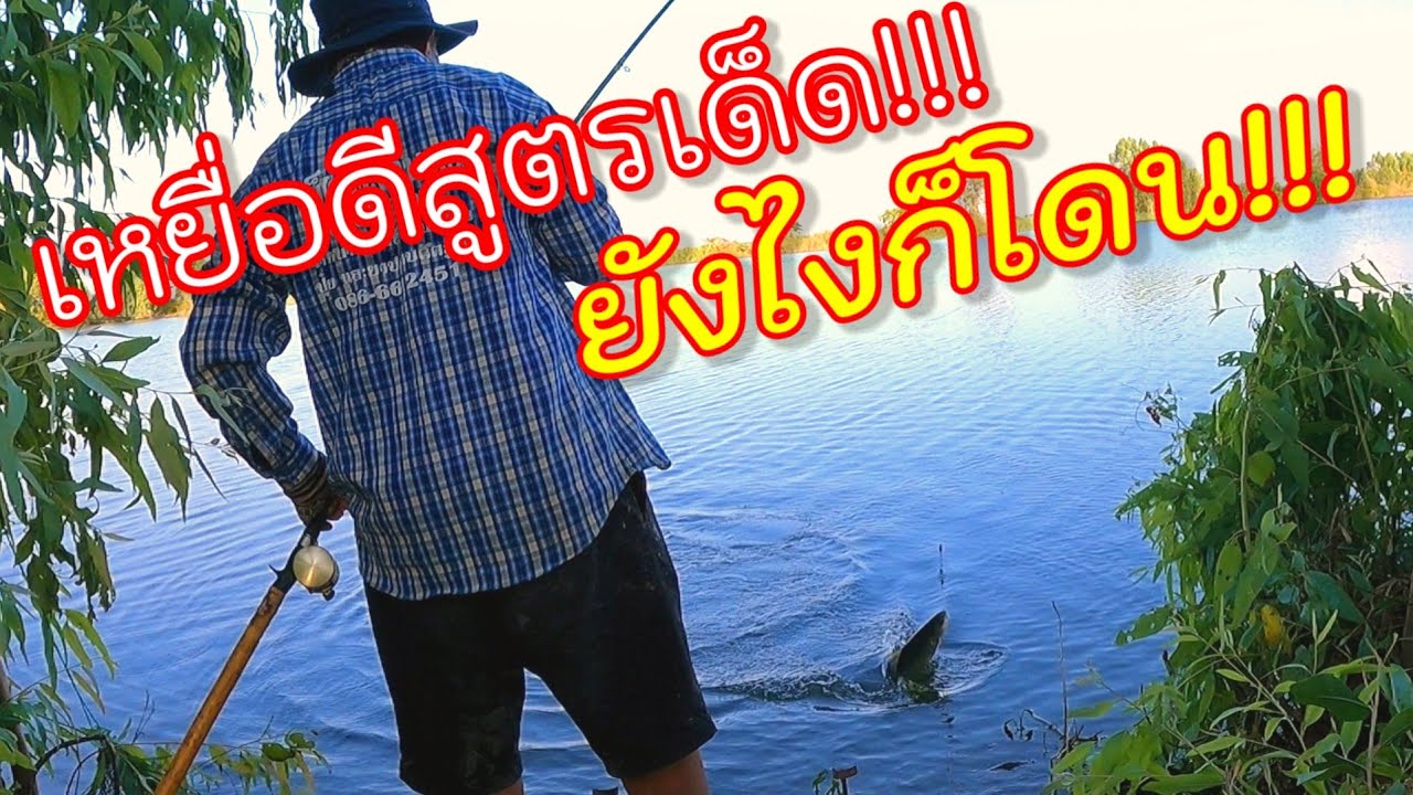 แนะนำสูตรเหยื่อหน้าดินหมายธรรมชาติ เหยื่อดีสูตรเด็ด ยังไงก็โดน