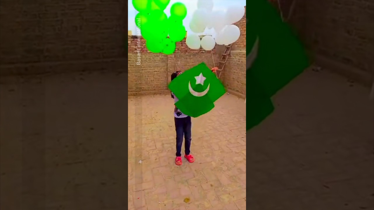 Pakistan Flag Kite Love of Kite Flying 