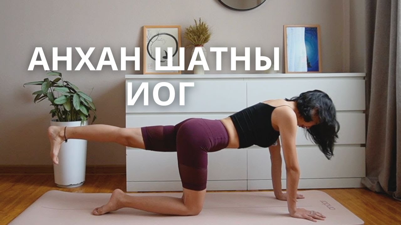 ✨ Гэртээ хийх анхан шатны иог