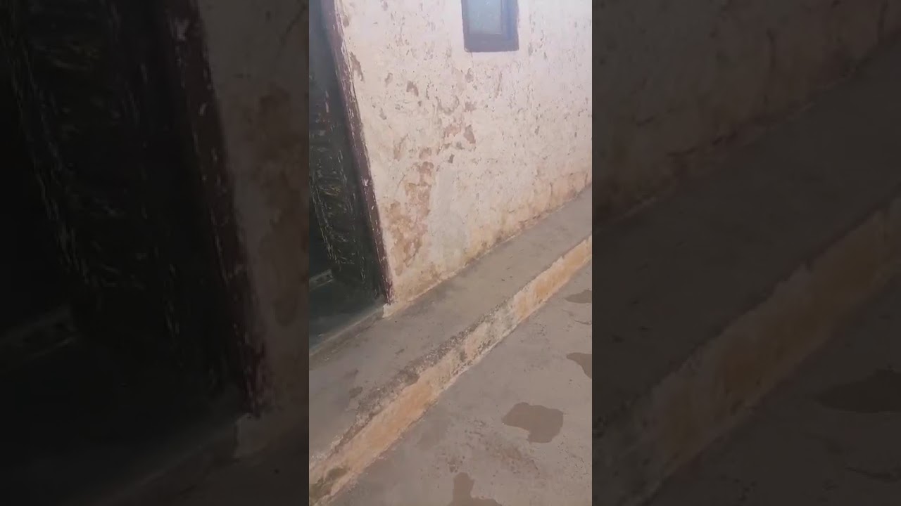 دار كولشى فيها  متوفر ج..... للبيع 0696499813