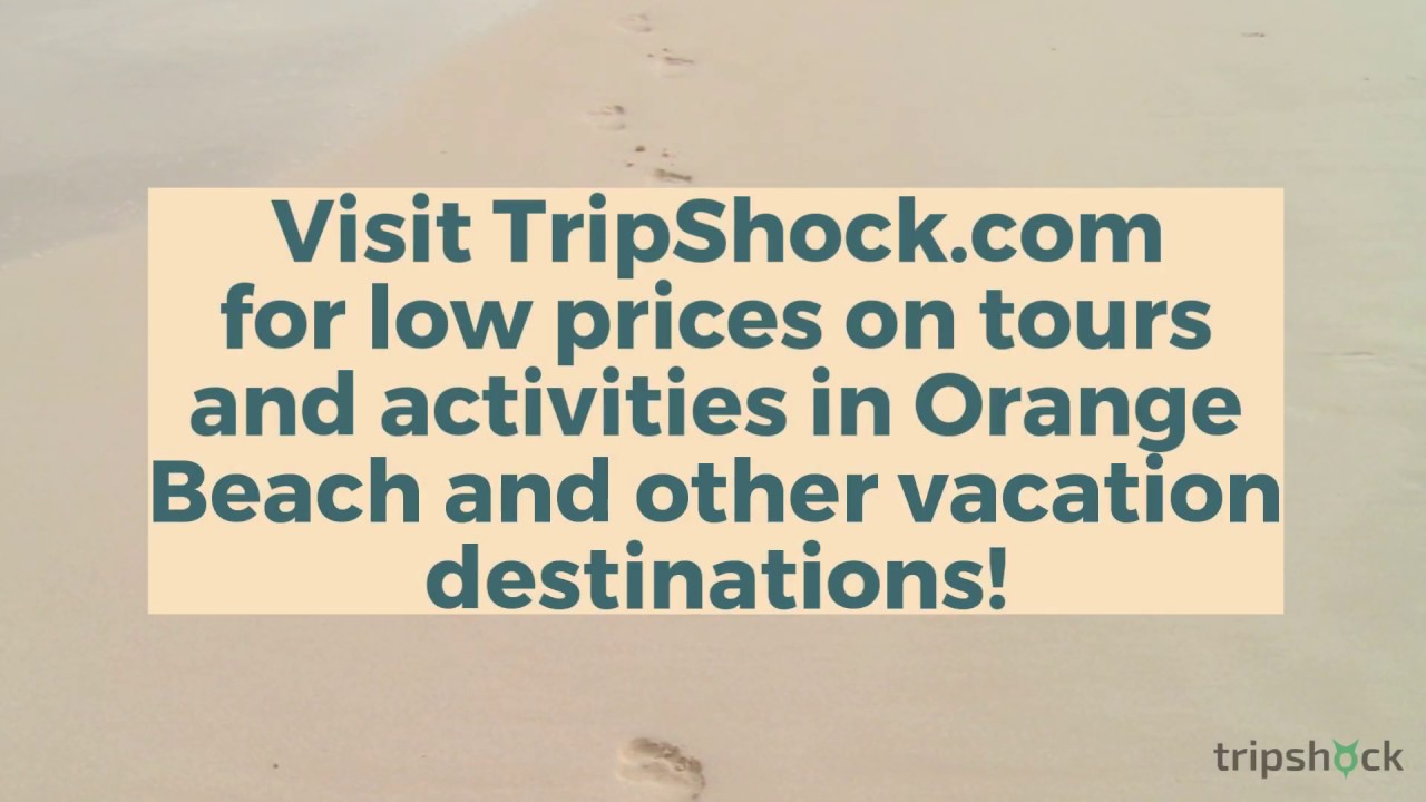 8 Things To Do In Orange Beach AL for Adults on a Kid-Free Vacation